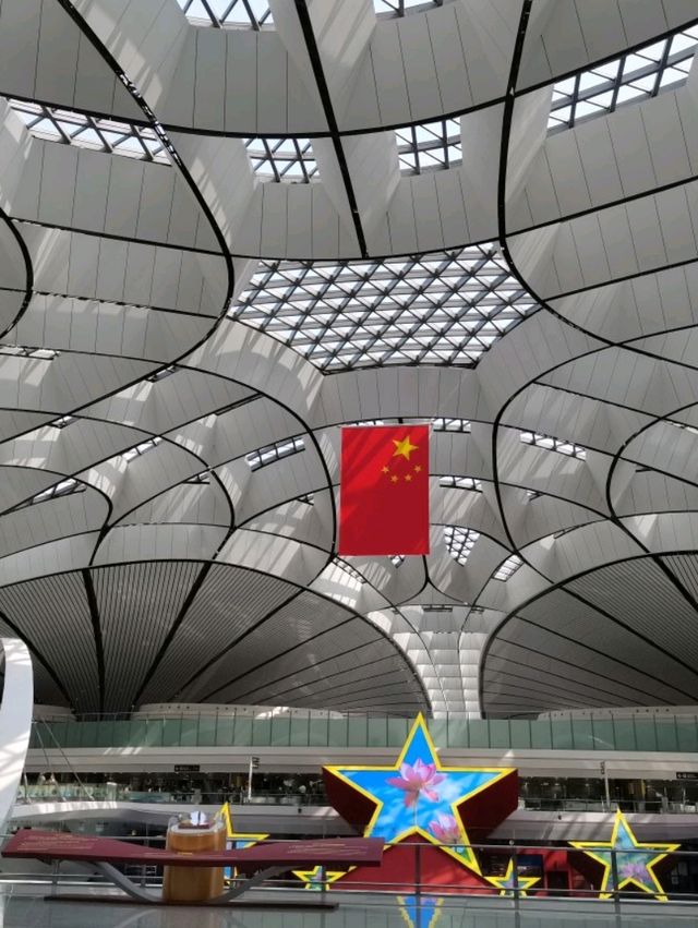 Impressive Daxing Airport  🇨🇳