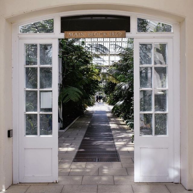 Kew Gardens: A Botanical Paradise
