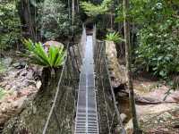 Kondalilla National Park 🌳🌴