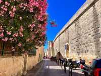 Towers and Walls of Aigues-Mortes 🏰