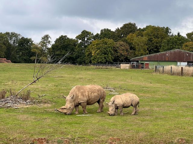 Whipsnade Zoo 🐘