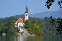 Serene Beauty of Lake Bled