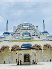 Istanbul Birds Eye view