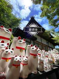 ⛩️豪德寺🐱藏有大量招財貓雕像的佛寺