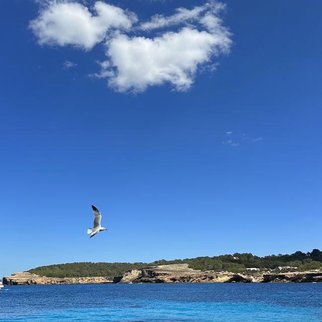 Paradise Found: A Journey to Cala Bassa’s Pristine Blue Waters
