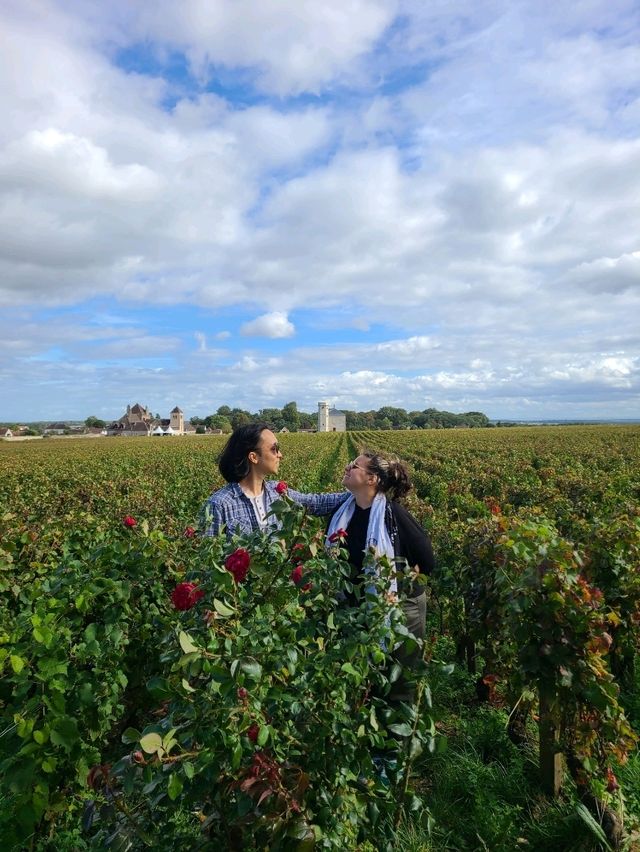 Beaune Surprise ! 🍷#FrenchGems