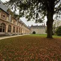 Fontainebleau is a real gem!