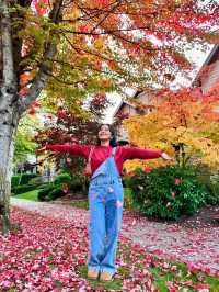 가을에 워싱턴 D.C.를 탐험해보세요 🍂