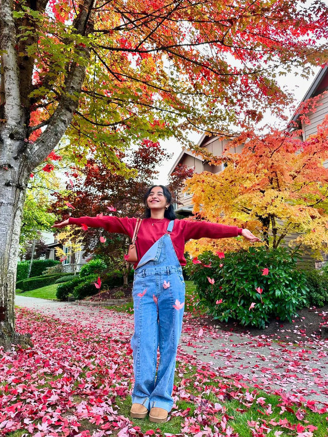 가을에 워싱턴 D.C.를 탐험해보세요 🍂