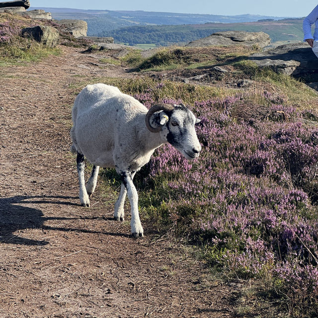 Peak District - Bamford Edge