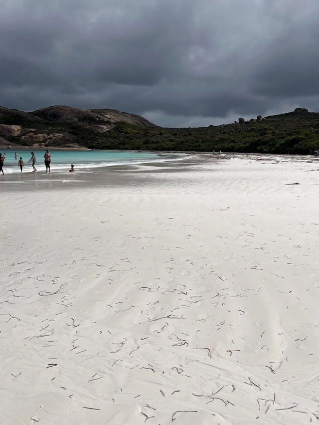 Lucky Bay 🏖️