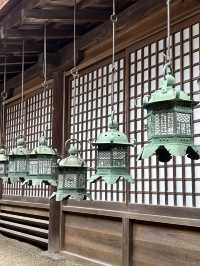NARA, JAPAN: MY UNFORGETTABLE DAY AMONG DEERS AND TEMPLES 