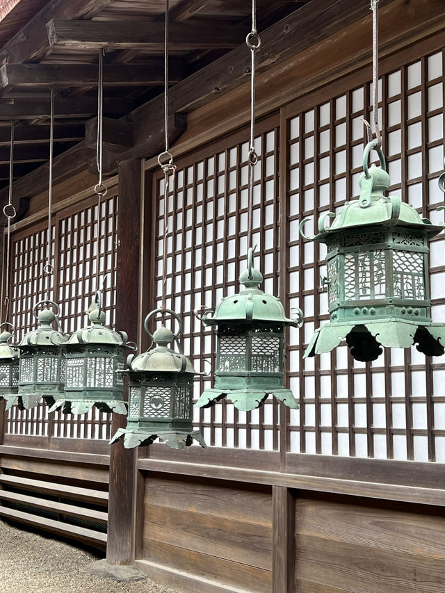 NARA, JAPAN: MY UNFORGETTABLE DAY AMONG DEERS AND TEMPLES 