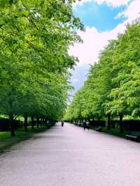 Escape the City: Best Parks & Green Spaces in London 🌿✨