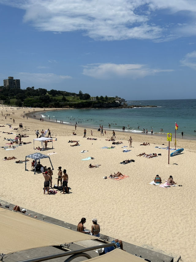 🌊 Coastal Bliss: Hiking from Coogee to Bondi Beach 🥾🏝️