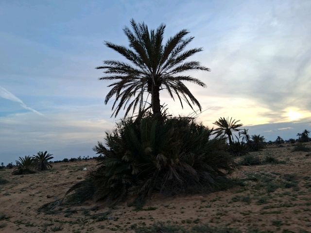 Desert sunset❤️