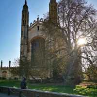 Spring in Cambridge: Where Ivy Grows and Rivers Flow