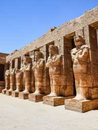 Luxor’s Golden Hour: Where History Meets Beauty 🌅