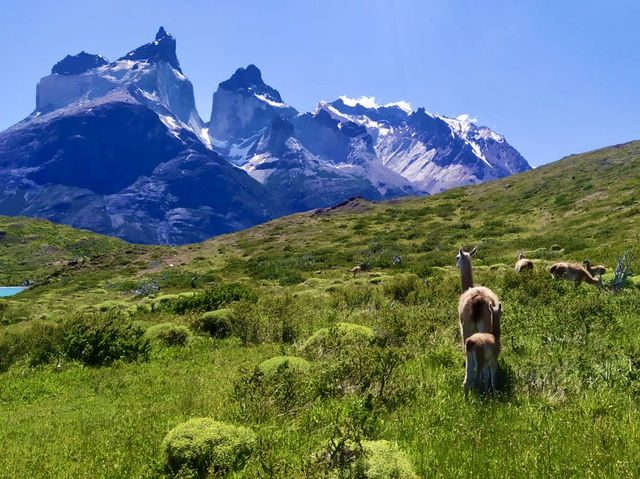 Soulful Solo Trek