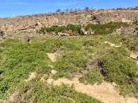 The North Coast Nature Day 