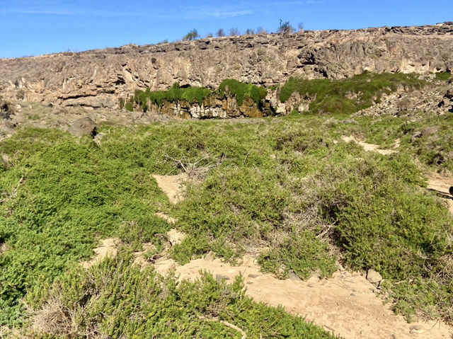 The North Coast Nature Day 