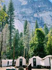 🏕️ Where to Stay in Yosemite National Park 🏨🌄