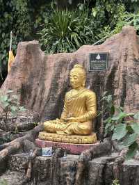 Hidden gem: tiger temple in Chumpon