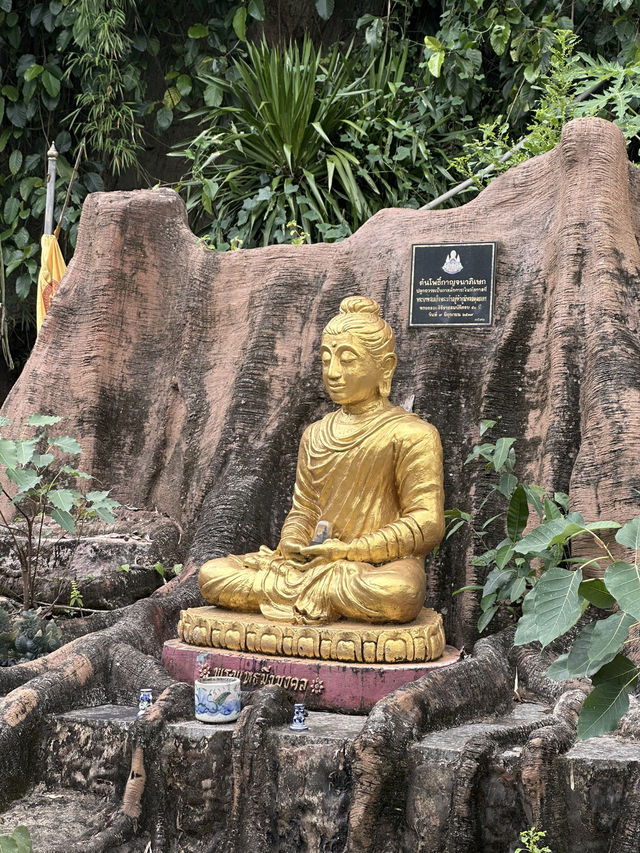 Hidden gem: tiger temple in Chumpon