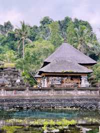 🚗 Ride-Sharing in Bali: The Backpacker’s Secret to Island Freedom 🌊✨