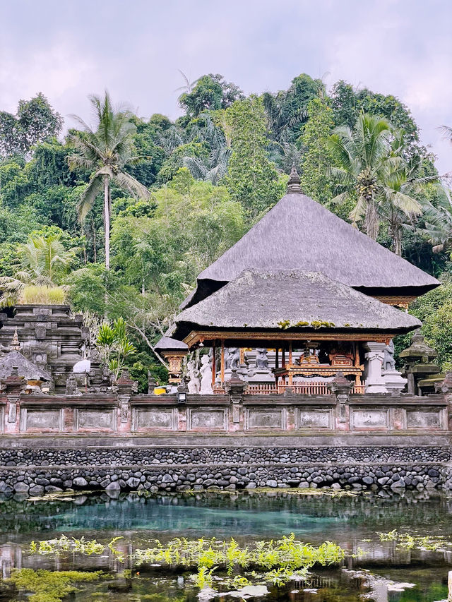 🚗 Ride-Sharing in Bali: The Backpacker’s Secret to Island Freedom 🌊✨