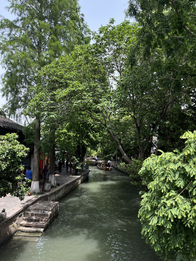 A Peaceful Escape to Zhujiajiao Water Town 🛶✨