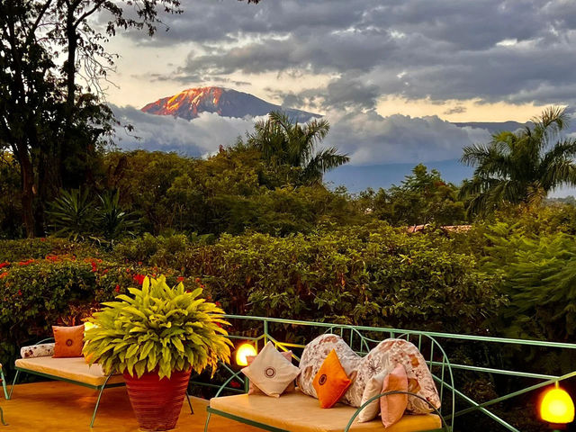 🌺 Trip Moment: Pink Flamingo Boutique Hotel – Where Tanzania Meets Italy