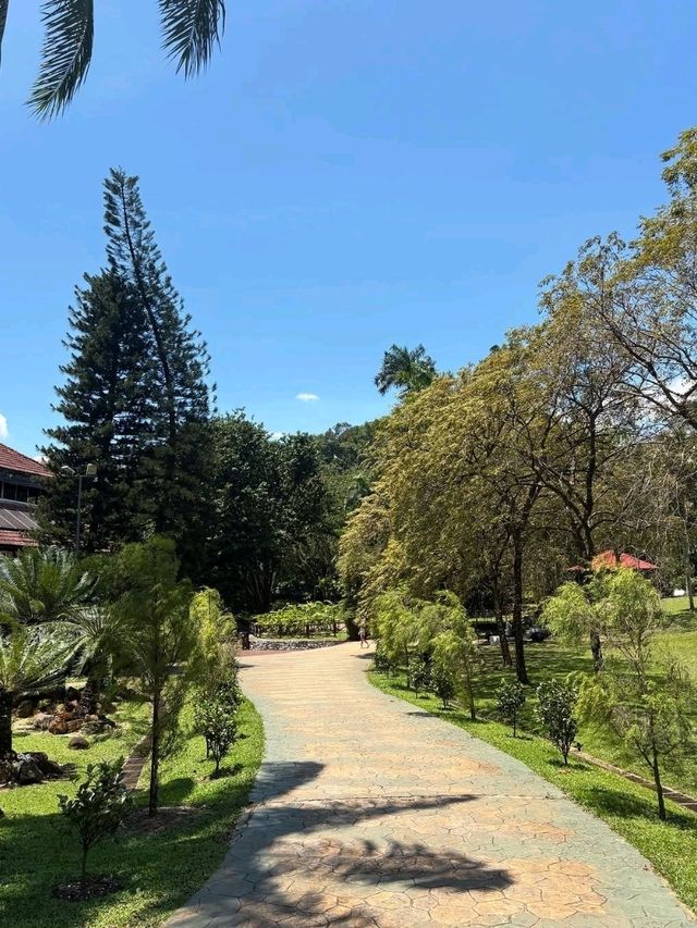 🌿 A Lush City Retreat – Perdana Botanical Garden, Kuala Lumpur