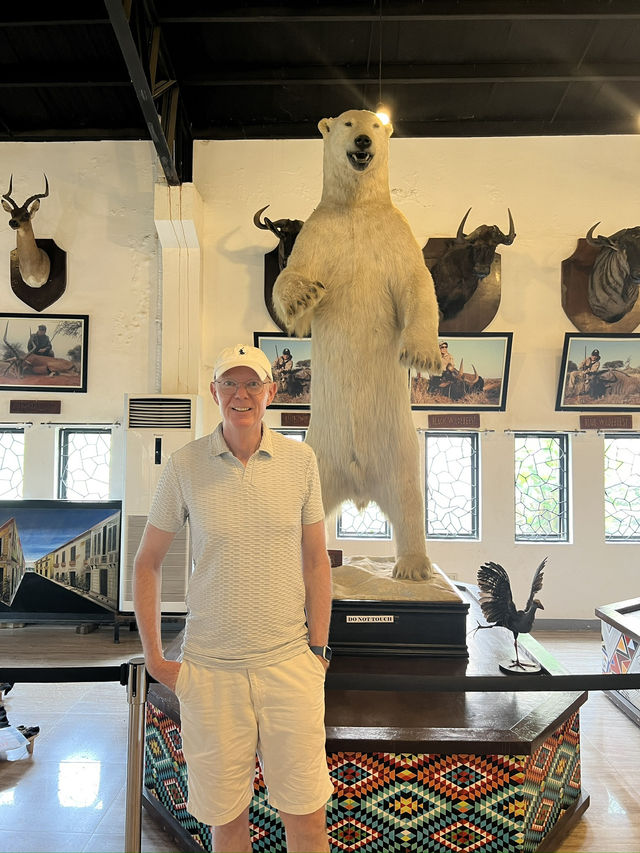 🦁🌿 Vigan Safari Adventure – Where the Wild Roars in the North! 🌿🦓