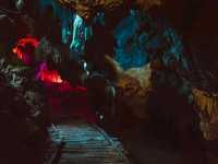 Thung Nham Bird Park: A Hidden Oasis in Tam Coc, Vietnam