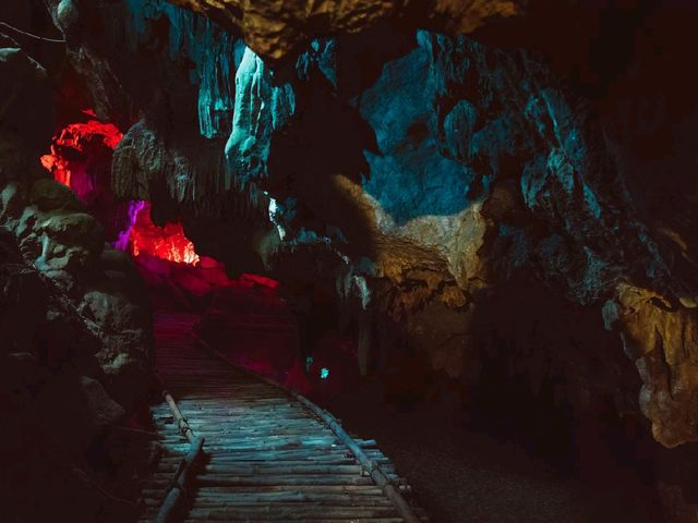 Thung Nham Bird Park: A Hidden Oasis in Tam Coc, Vietnam