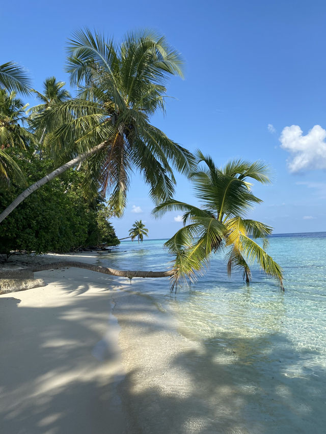 Walking Felidhoo Island: The Best Spots for Dreamy Photos