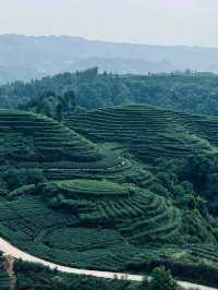 ⛰️ Mengding Mountain – The Ancient Cradle of Chinese Tea