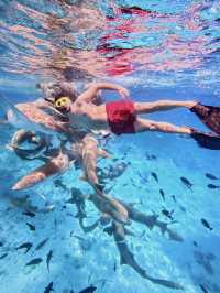 Swimming With Sharks in the Maldives: A Once-in-a-Lifetime Experience