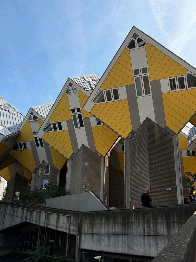 Top Halloween Attractions in Rotterdam 🎃👻