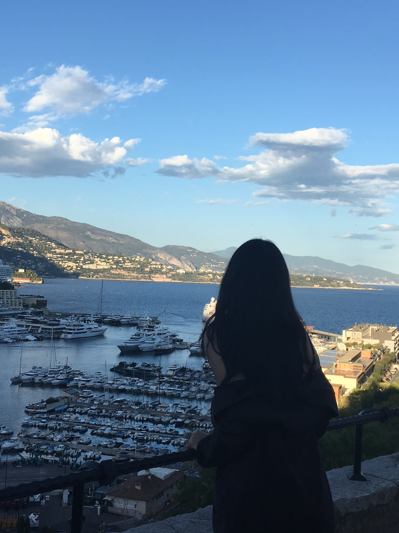 Recommended Day Trip from Nice - Monaco