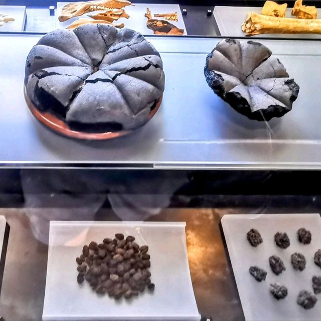 Mount Vesuvius Erupted in 79 AD, Burying Pompeii in Ash for 1,700 Years