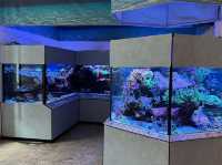 Wonders of Nature — A Day at Naturkundemuseum Karlsruhe 🇩🇪  