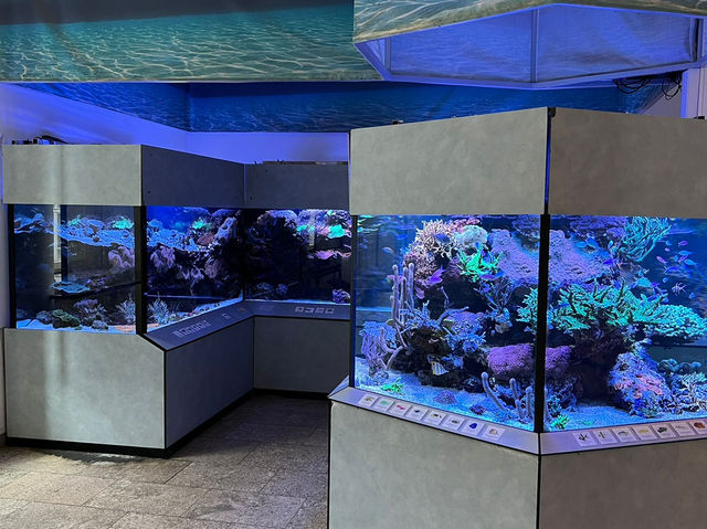 Wonders of Nature — A Day at Naturkundemuseum Karlsruhe 🇩🇪  