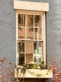 Crispy Autumn Manhattan Magic in One Day