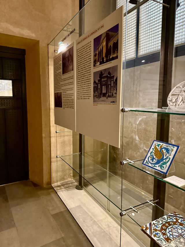 A Magical Winter Evening Walk