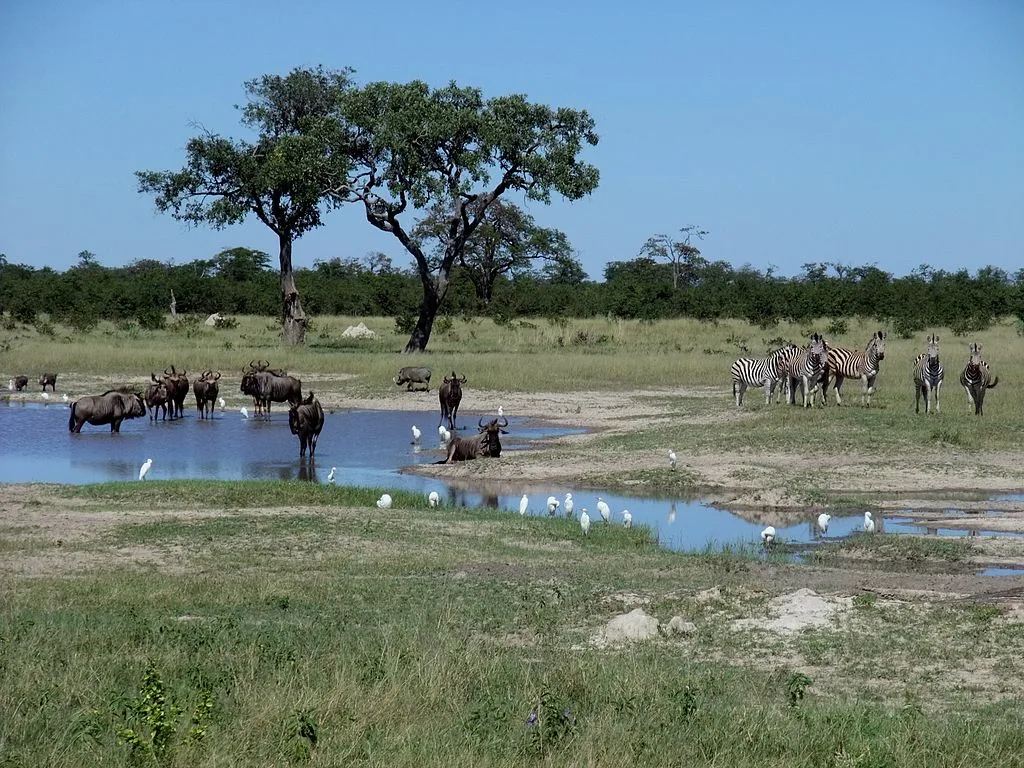 BOTSWANA 2026: The Insider’s Guide Nobody Shares (Save This Before You Go) 🇧🇼