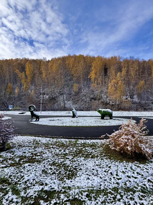 Fall Colors in Gorno-Altaysk: Autumn Meets the First Snow 🍂❄️
