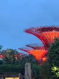 Unforgettable Day and Night at Gardens by the Bay, Singapore