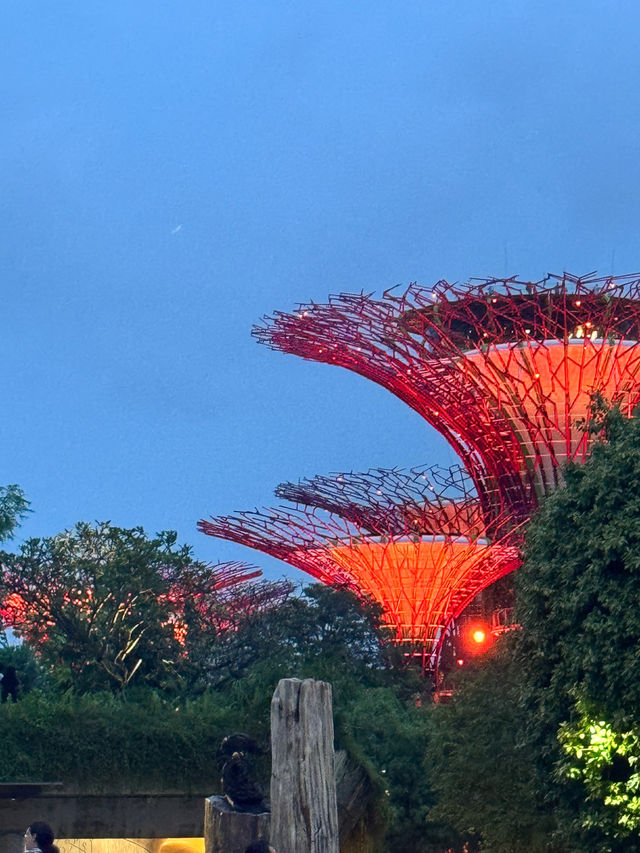 Unforgettable Day and Night at Gardens by the Bay, Singapore